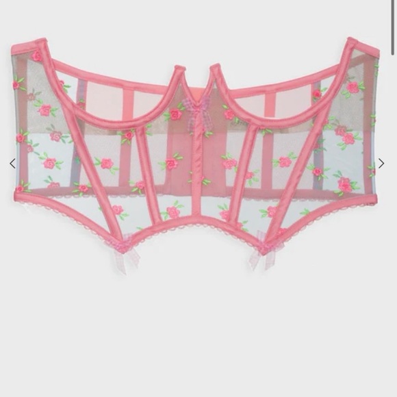 For Love and Lemons corset - Picture 3 of 5